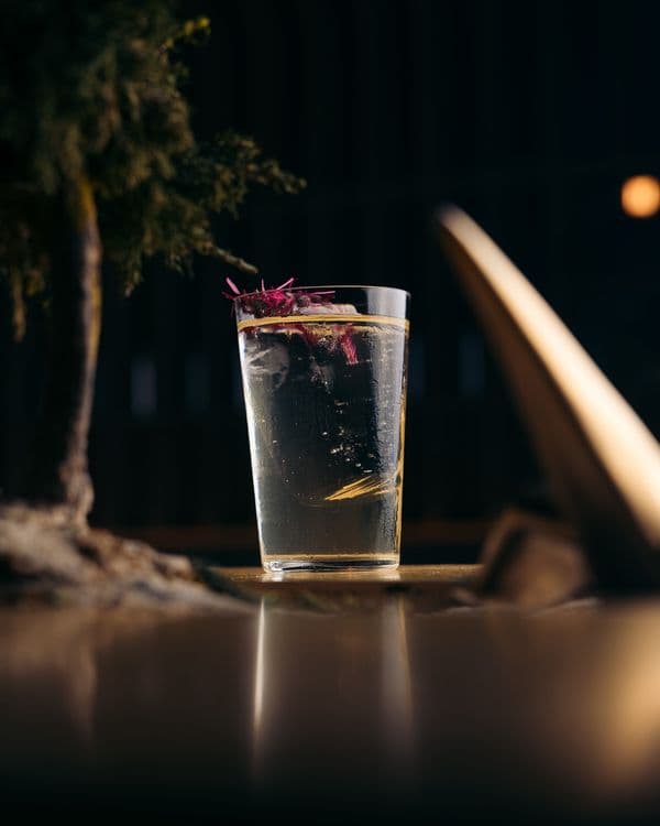 Tell Camellia Tea