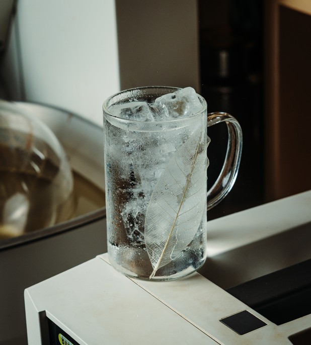 Jasmine T-Tonic
